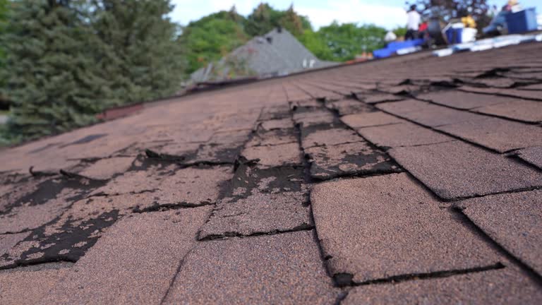 Best 4 Ply Roofing  in Crestwood Village, NJ